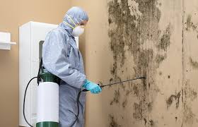 Trusted Lucedale, MS Mold Removal Services Experts